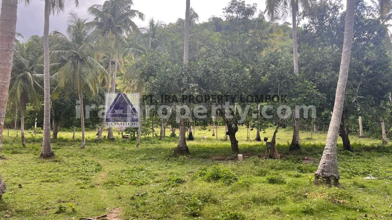 Tanah Tepi Pantai di Telaga Lupi, Sekotong - 182-2 - 12