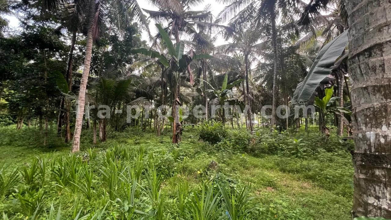 Tanah Tepi Pantai dengan Pemandangan Sirkuit Mandalika - 421-2 - 8