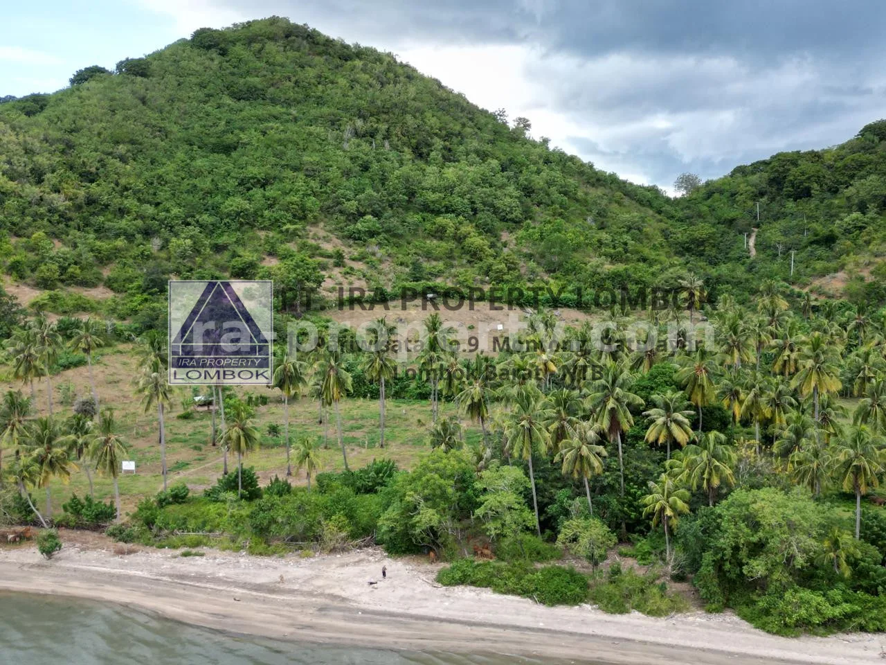 Tanah · Sekotong · foto 1 dari 8 Tanah di Perbukitan Sekotong dengan Pemandangan Laut - 181-2 - 1
