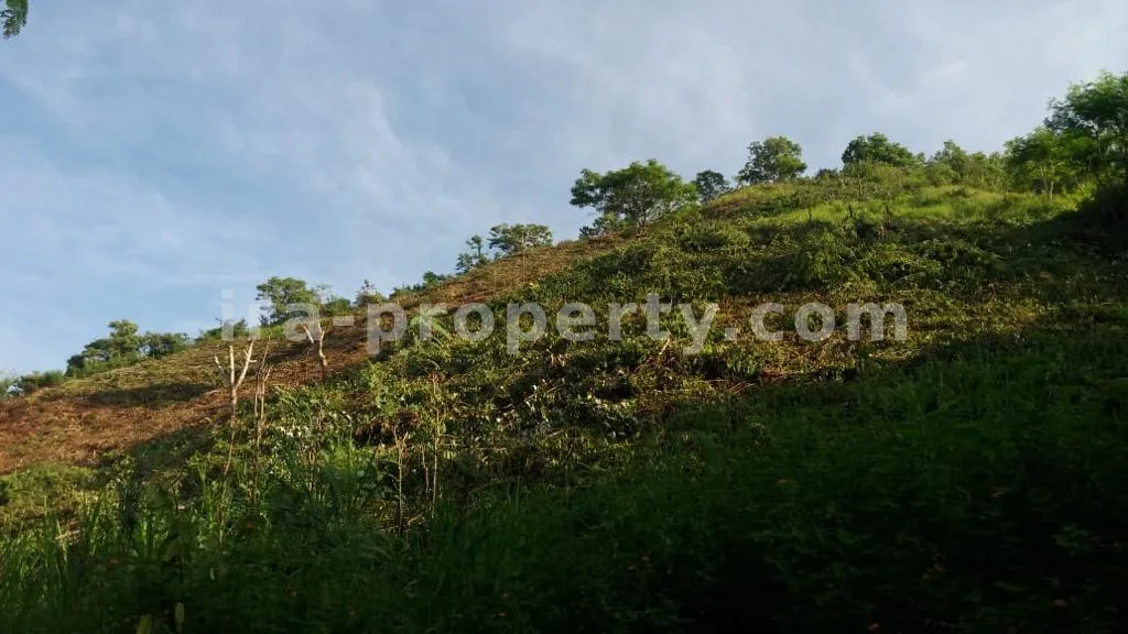 Land Plot with Direct Beach and Circuit Views in Mandalika - 419 - 10