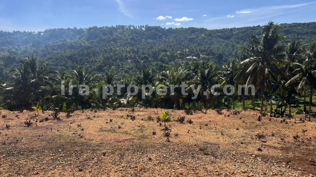 Land · Kuta Mandalika · photo 5 of 11 Land Plot with Direct Beach and Circuit Views in Mandalika - 419 - 5