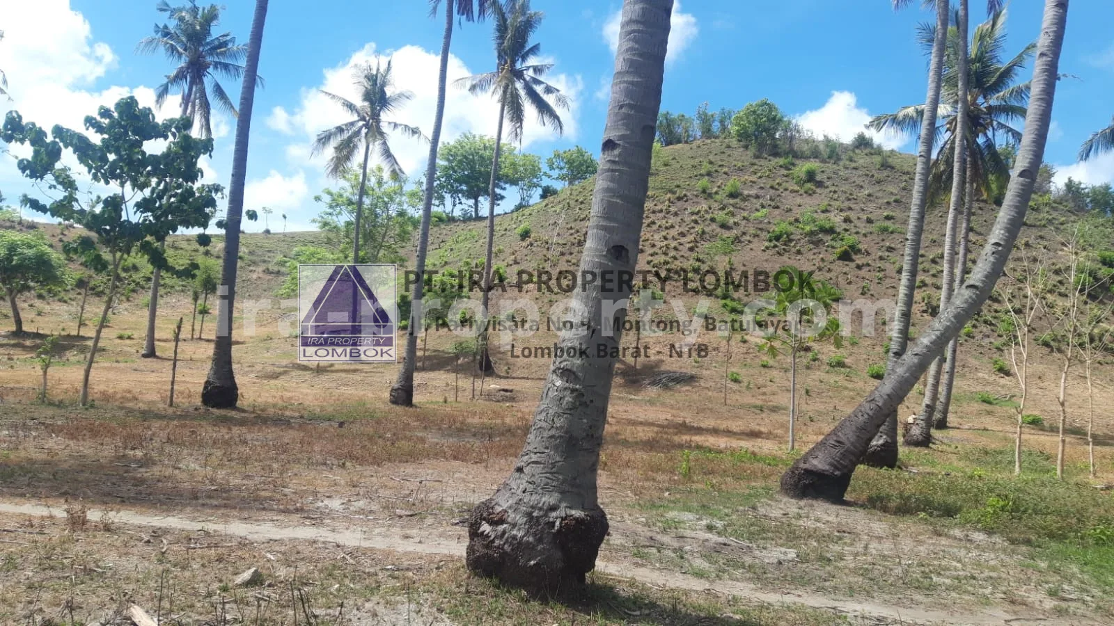 Tanah Tepi Pantai di Gili Genting, Sekotong - 183 - 12