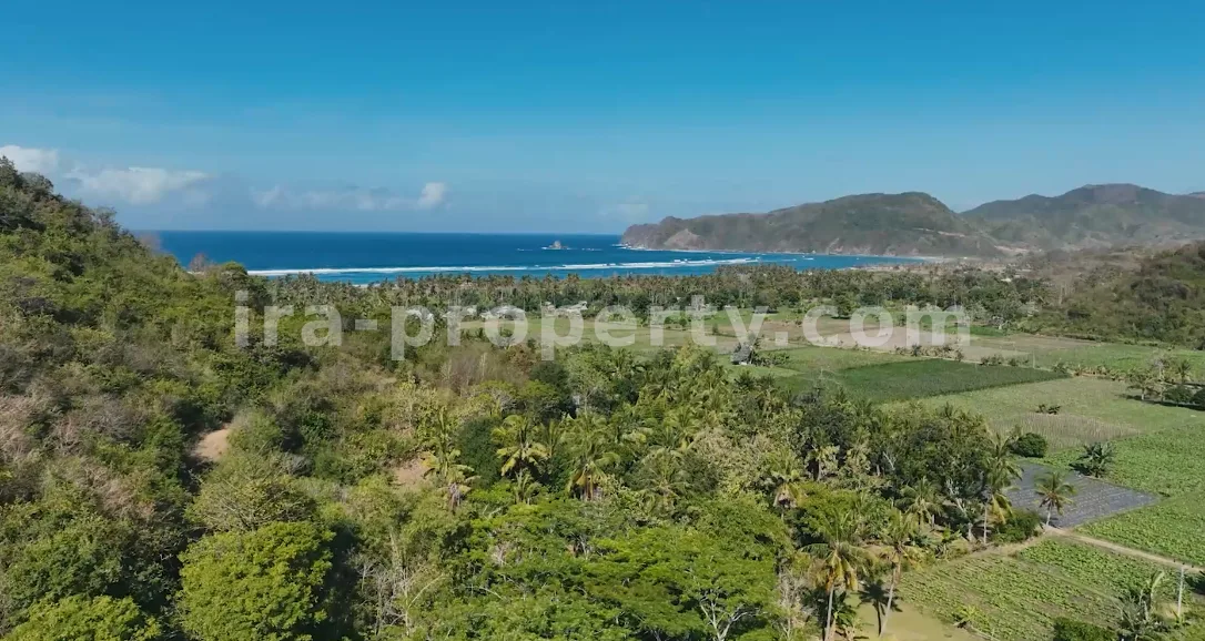 Tanah Tepi Pantai Premium dengan Pemandangan Laut di Tampah Mawun - 320-2 - 12