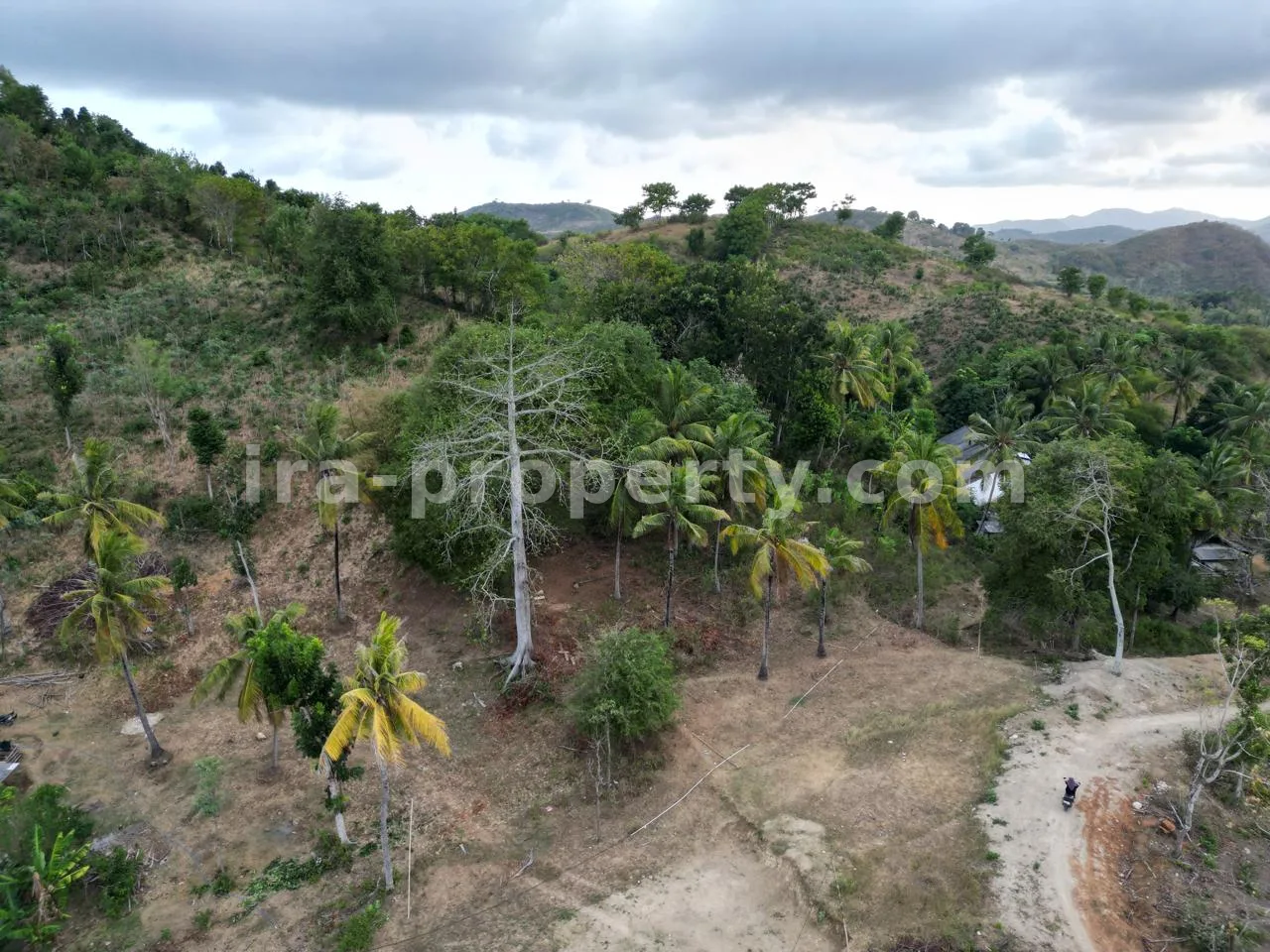 Tanah Premium di Puncak Bukit Prabu Areguling - 445-2 - 8