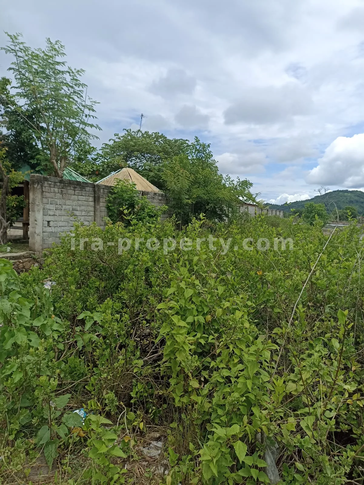 Tanah Strategis Pinggir Jalan di Sekotong \u2013 3.390 m\u00b2 - 175 - 9