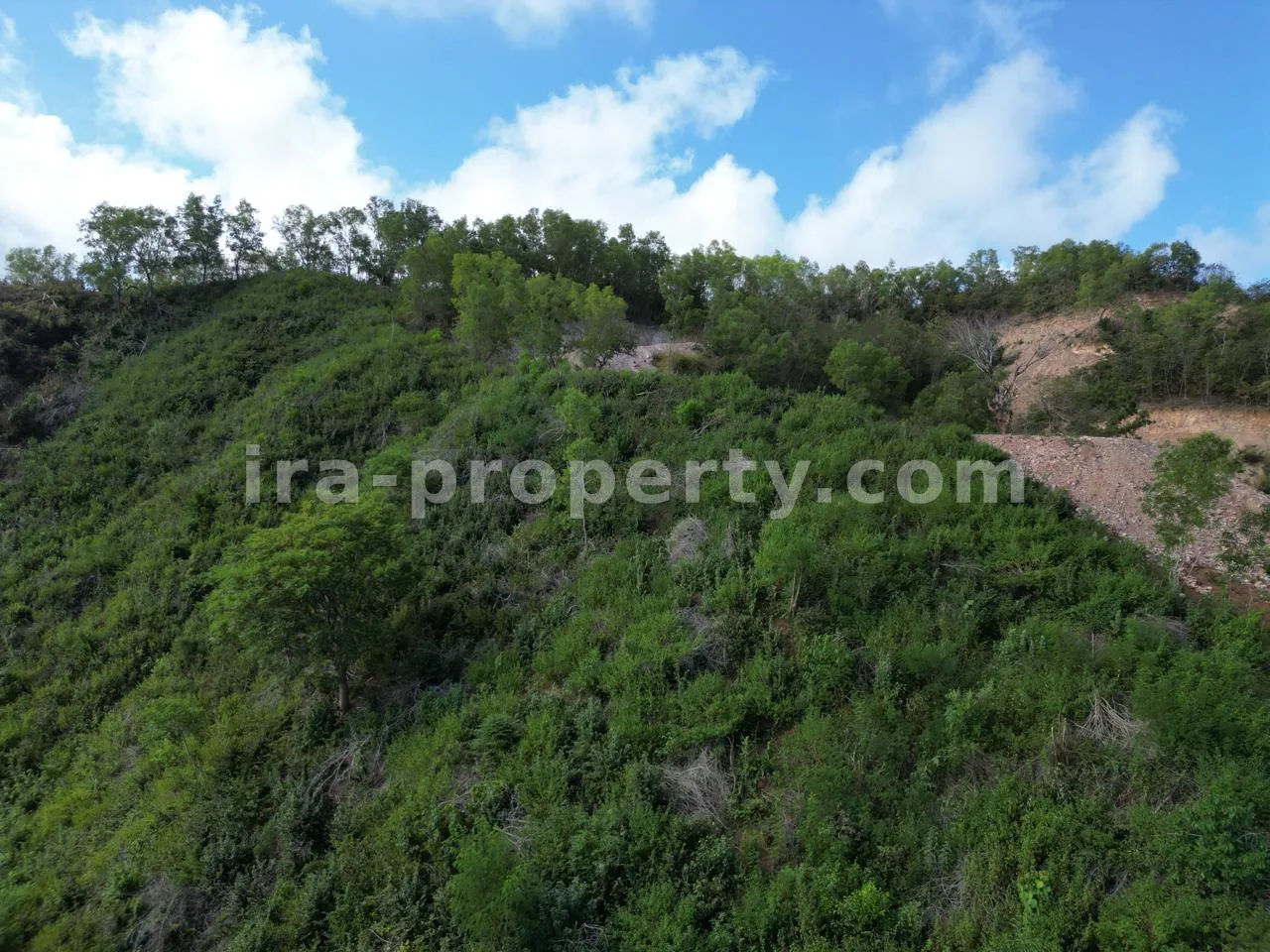 Land · Kuta Mandalika · photo 5 of 11 Beach View Land in Central Kuta Mandalika - 441 - 5