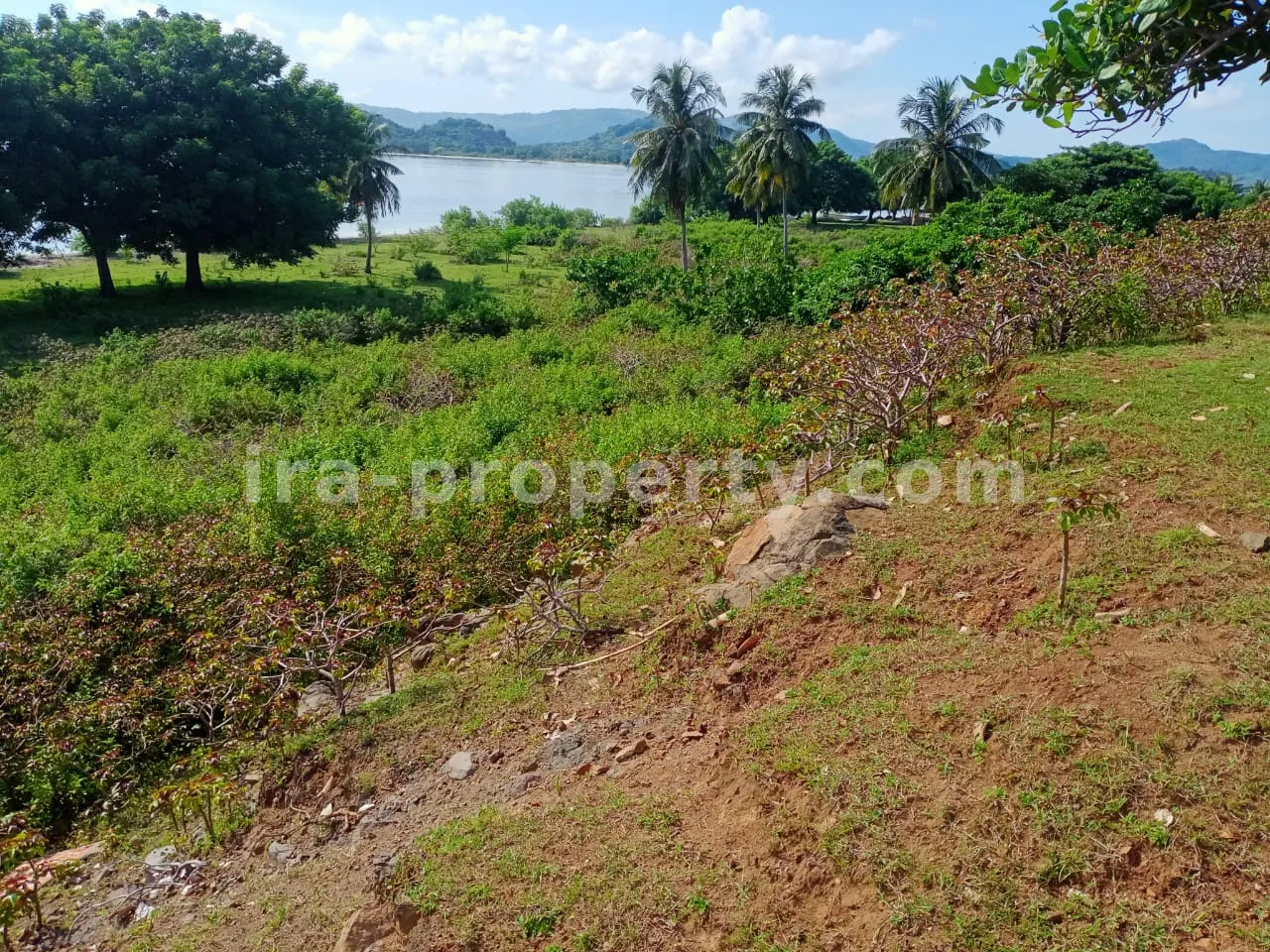 Tanah · Sekotong · foto 2 dari 11 Tanah Tepi Pantai di Gili Layar, Sekotong - 184-2 - 2