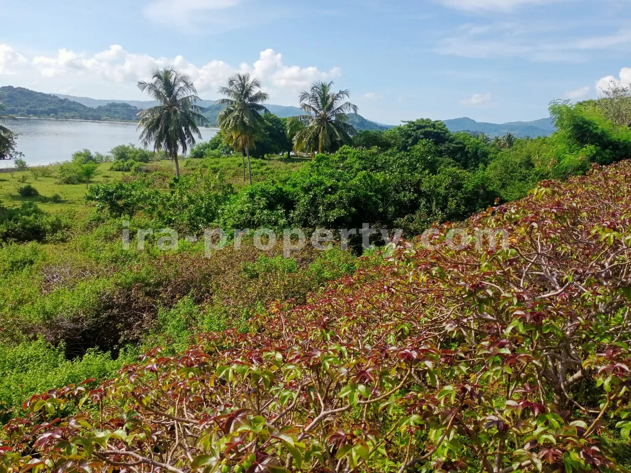 Tanah · Sekotong · foto 3 dari 11 Tanah Tepi Pantai di Gili Layar, Sekotong - 184-2 - 3
