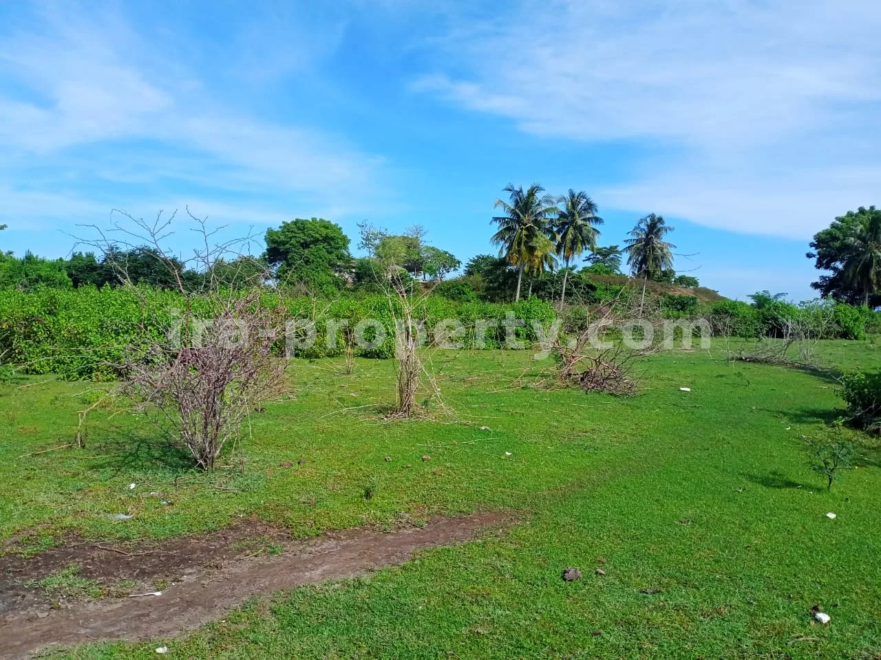 Tanah · Sekotong · foto 5 dari 11 Tanah Tepi Pantai di Gili Layar, Sekotong - 184-2 - 5