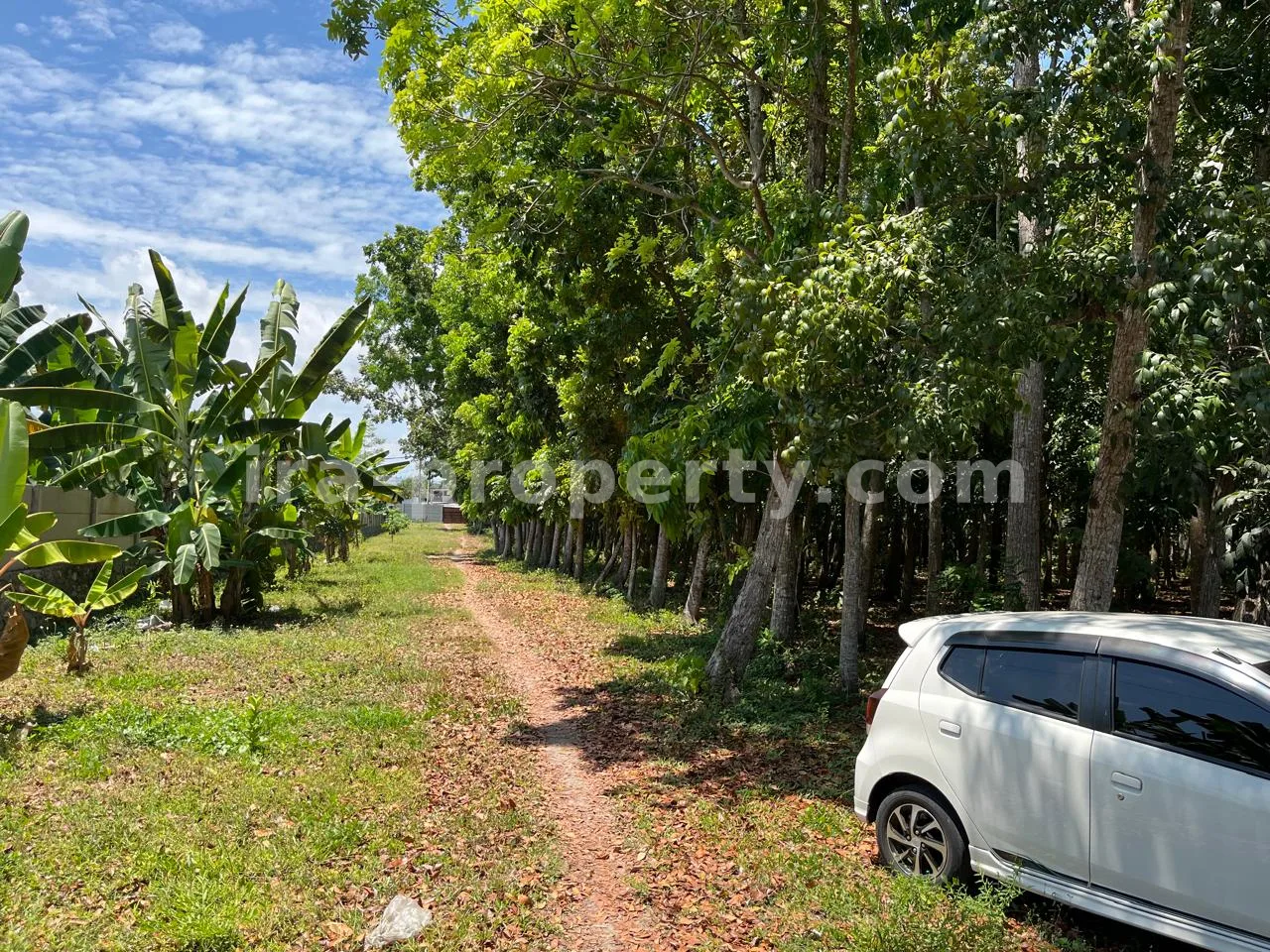 Villa & Hotel · Senggigi · foto 5 dari 5 Tanah Tepi Pantai di Montong Dekat Hotel Jayakarta - 359 - 5