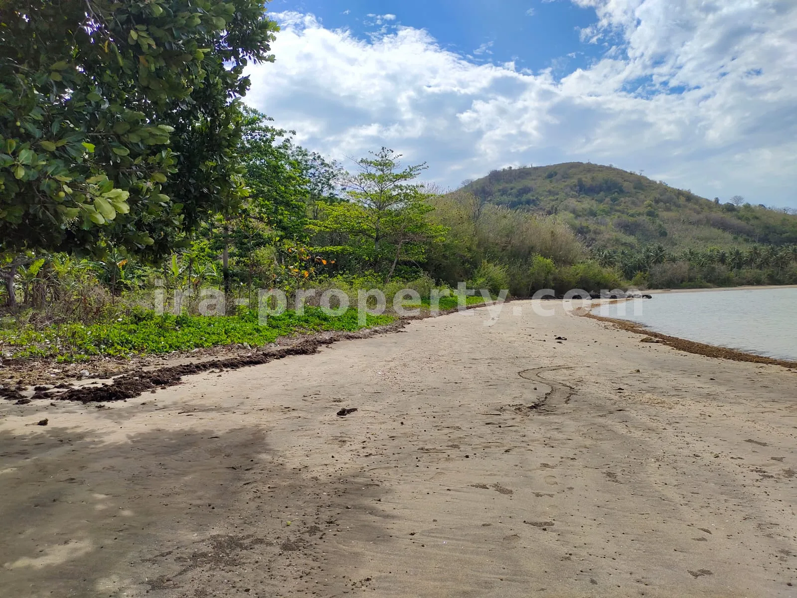 Tanah · Sekotong · foto 4 dari 6 Tanah Tepi Pantai Strategis di Sekotong, Lombok Barat - 180-2 - 4