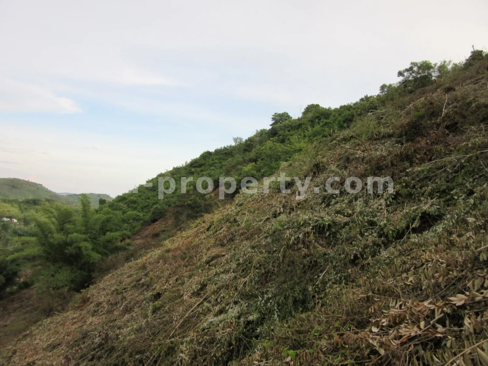 Tanah · Kuta Mandalika · foto 5 dari 11 Tanah Tepi Pantai dengan Pemandangan Sirkuit Mandalika - 421-2 - 5