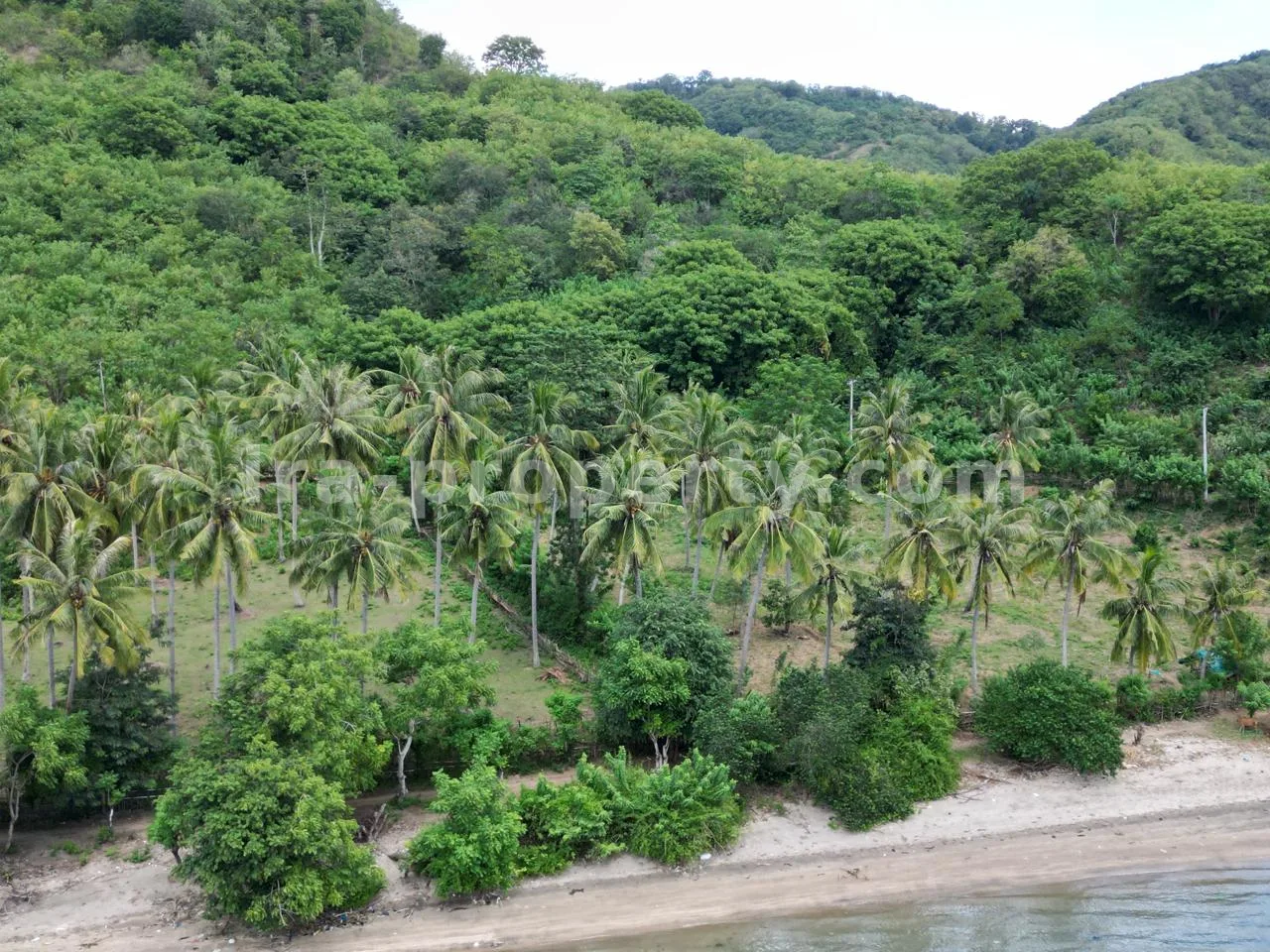 Tanah · Sekotong · foto 2 dari 8 Tanah di Perbukitan Sekotong dengan Pemandangan Laut - 181-2 - 2