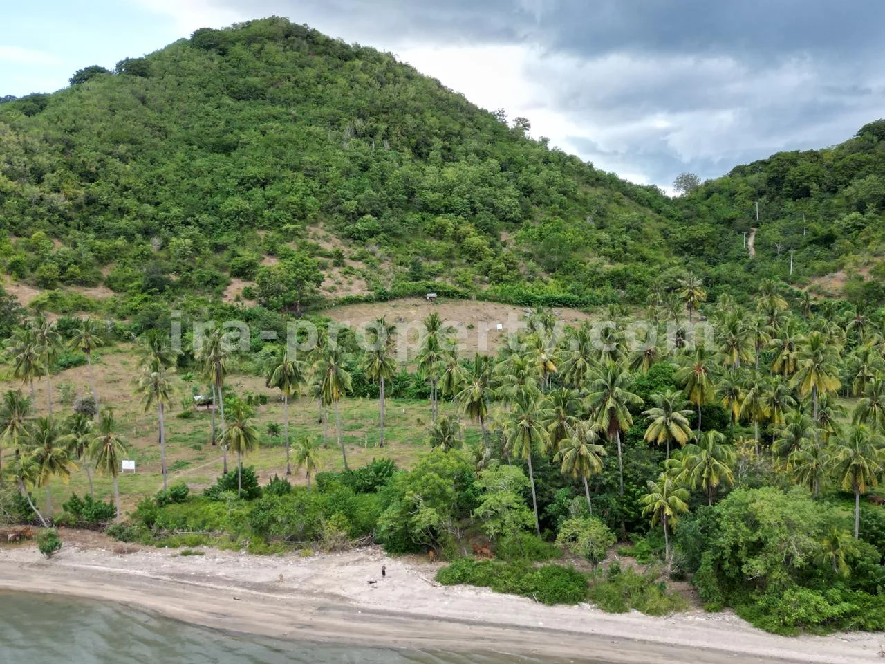 Tanah · Sekotong · foto 3 dari 8 Tanah di Perbukitan Sekotong dengan Pemandangan Laut - 181-2 - 3
