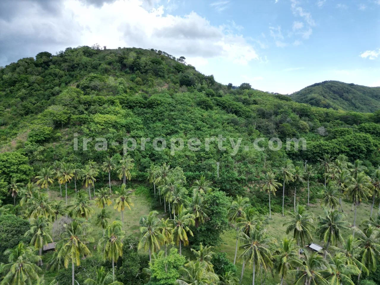 Tanah · Sekotong · foto 4 dari 8 Tanah di Perbukitan Sekotong dengan Pemandangan Laut - 181-2 - 4