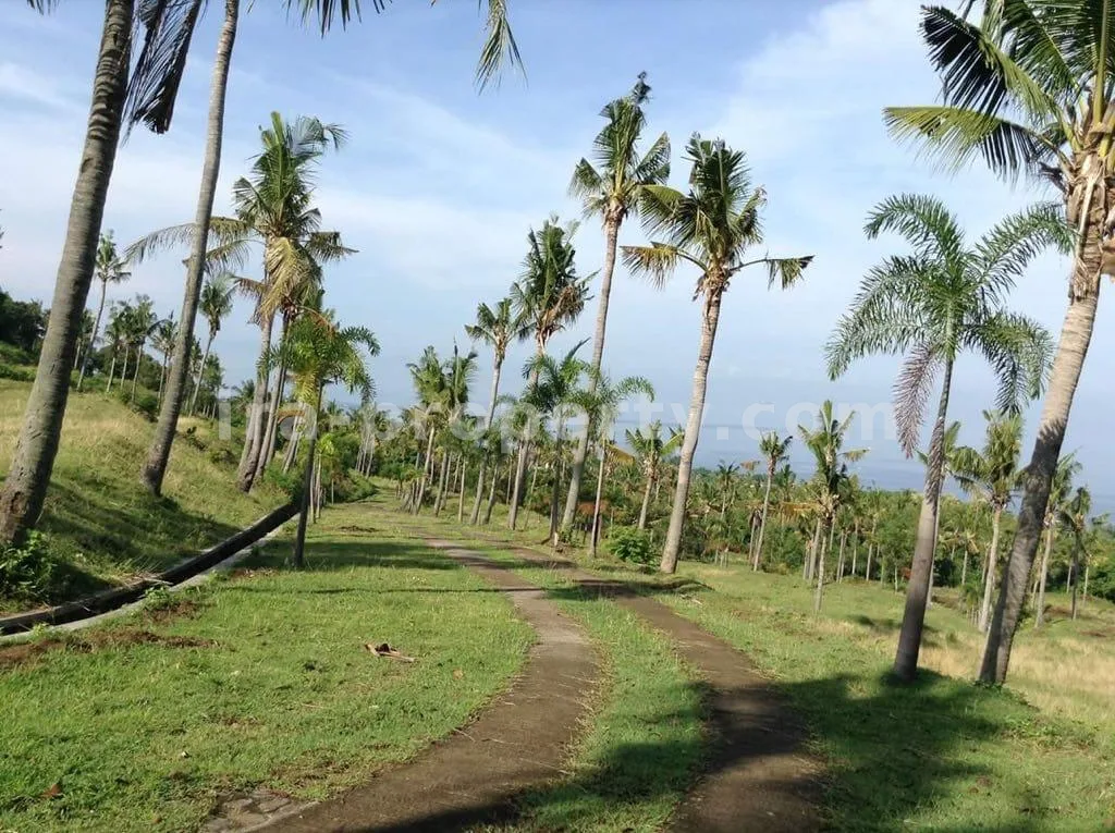 Tanah · Senggigi · foto 4 dari 9 Kavling Tanah Pemandangan Laut Sempurna untuk Vila Dekat Senggigi - 347 - 4