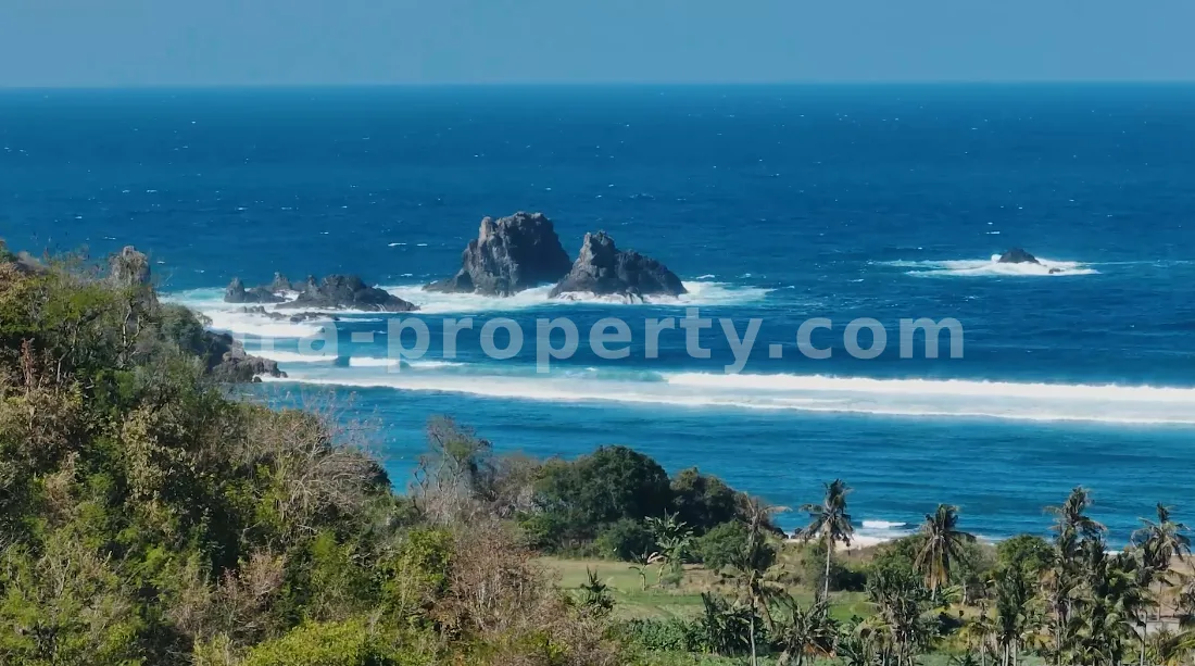 Tanah Tepi Pantai Premium dengan Pemandangan Laut di Tampah Mawun - 320-2 - 8