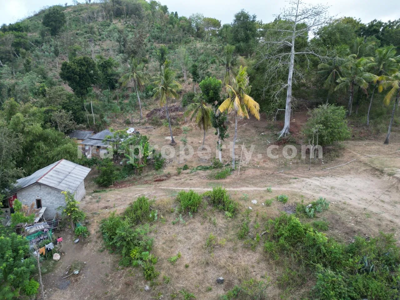 Tanah · Kuta Mandalika · foto 4 dari 8 Tanah Premium di Puncak Bukit Prabu Areguling - 445-2 - 4