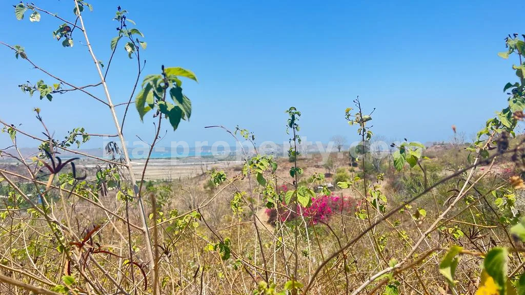 Tanah Tepi Pantai Strategis Dekat Sirkuit Mandalika, Kuta - 372 - 8