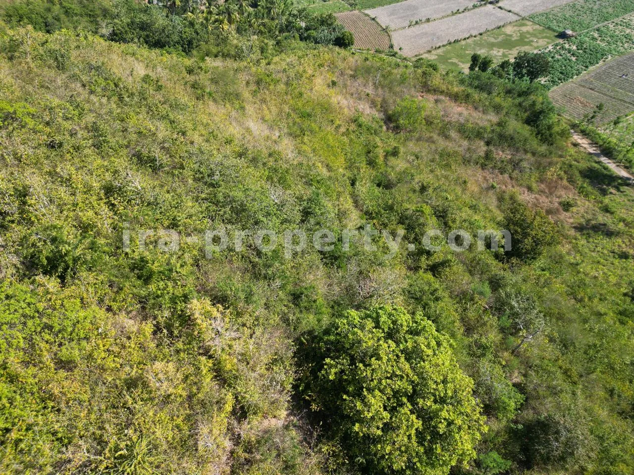 Tanah Perbukitan dengan Pemandangan Laut di Tampah - 15.463 m\u00b2 - 451 - 10
