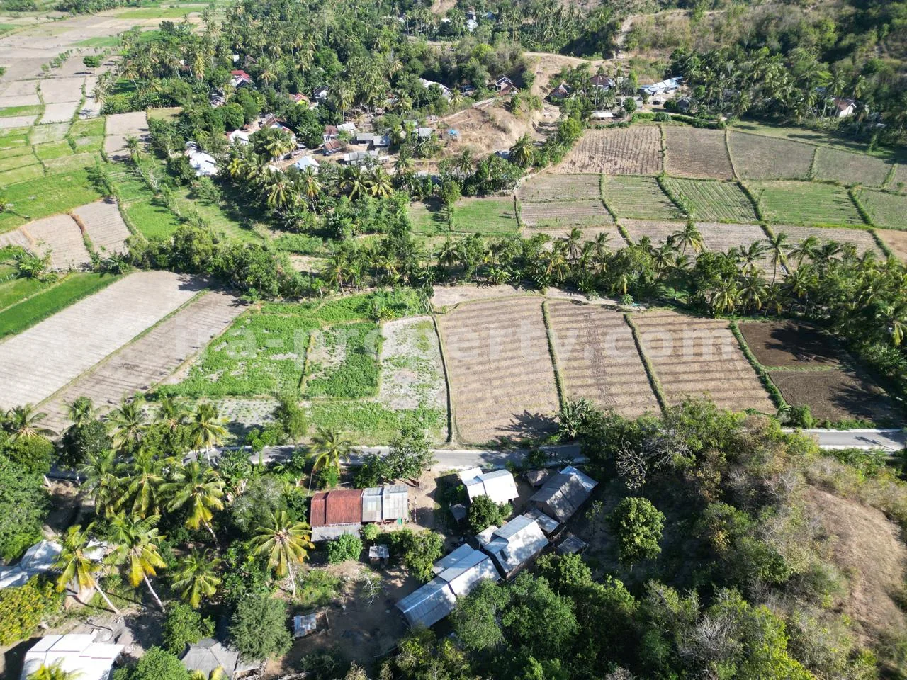 Tanah · Kuta Mandalika · foto 2 dari 17 Tanah Perbukitan dengan Pemandangan Laut di Tampah - 15.463 m\u00b2 - 451 - 2