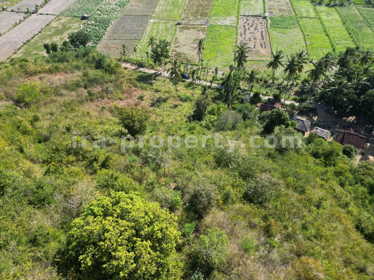 Tanah · Kuta Mandalika · foto 5 dari 17 Tanah Perbukitan dengan Pemandangan Laut di Tampah - 15.463 m\u00b2 - 451 - 5