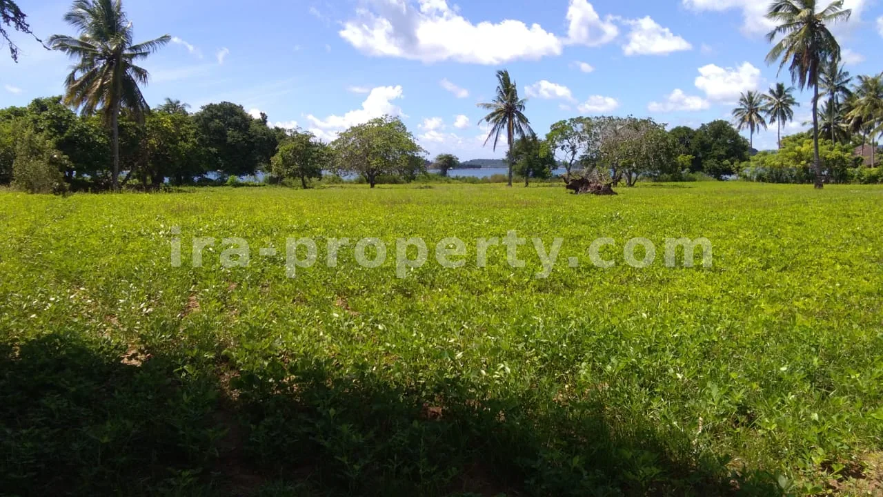 Tanah Tepi Pantai di Sekotong – 15.000 m² - 192-2 - 6
