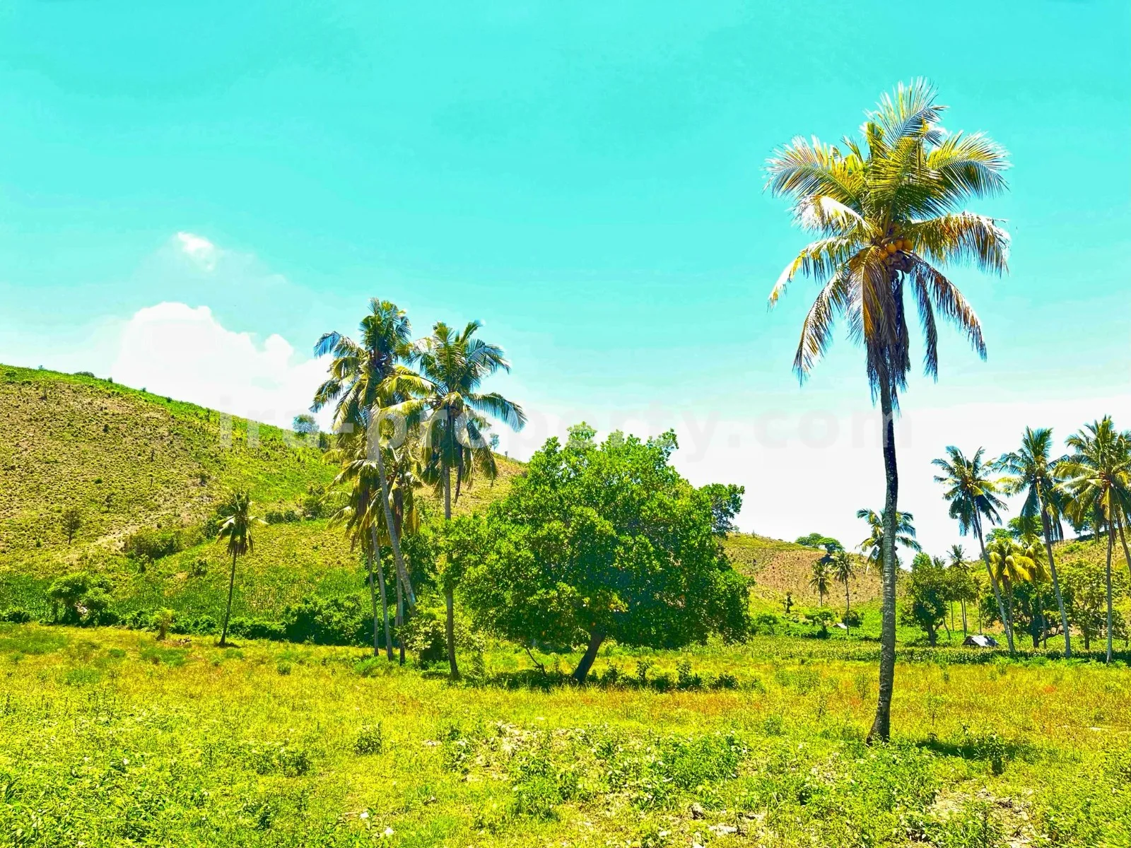 Tanah Tepi Pantai Sekotong - Pinggir Jalan, 19.866 m\u00b2 - 177 - 7
