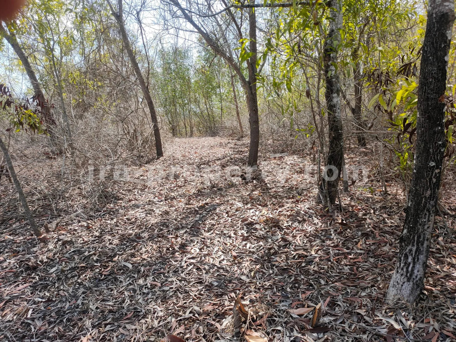 Tanah · Sekotong · foto 2 dari 10 Tanah Tepi Pantai di Gili Gede Sekotong – 4.600 m² - 174 - 2