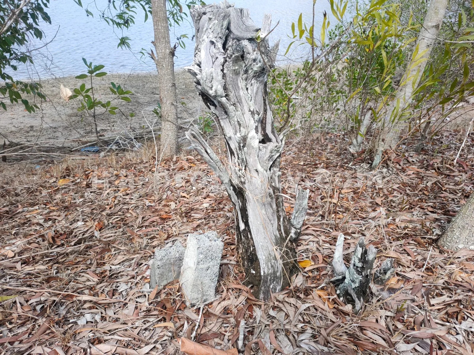 Tanah · Sekotong · foto 3 dari 10 Tanah Tepi Pantai di Gili Gede Sekotong – 4.600 m² - 174 - 3