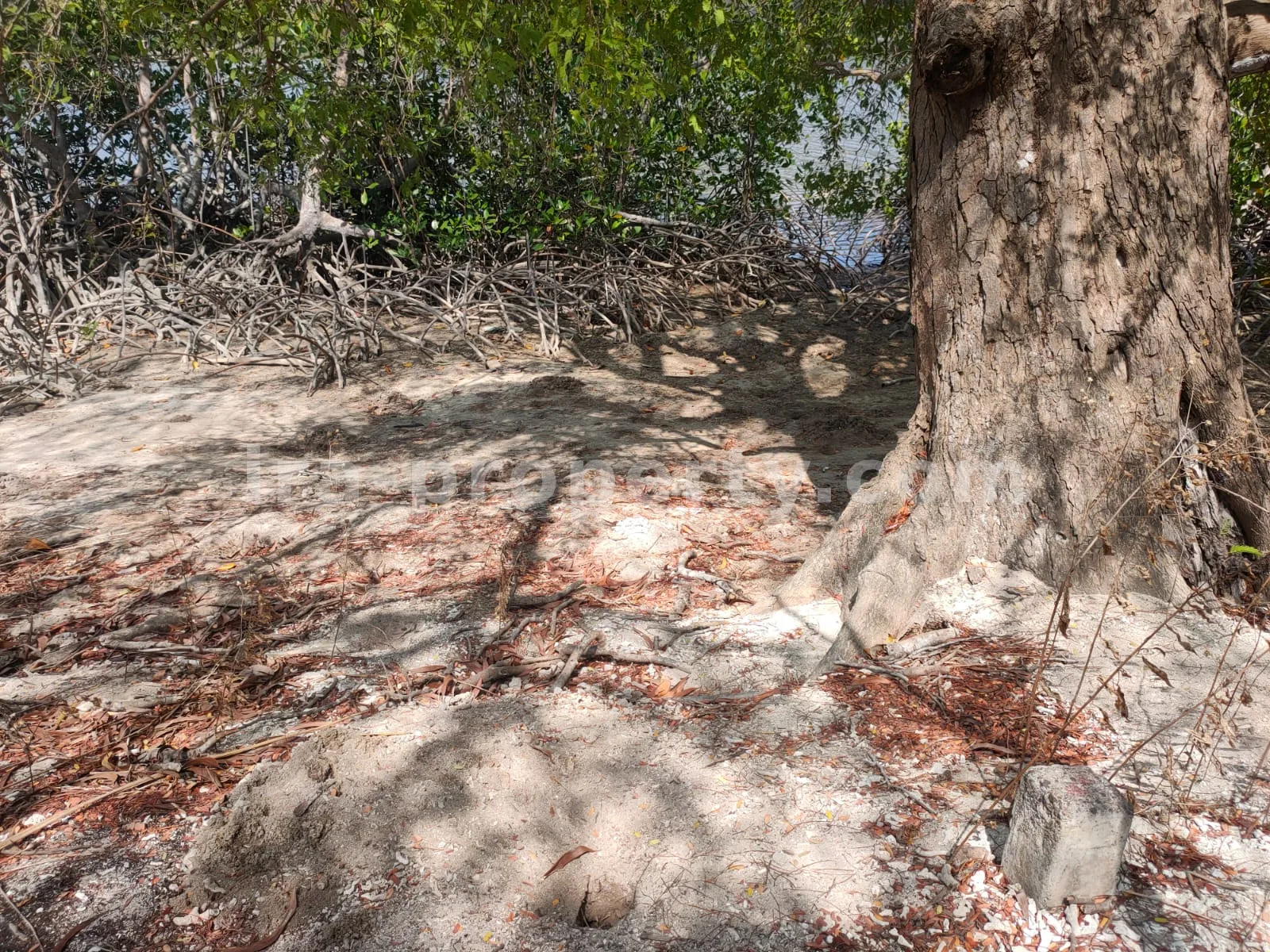 Tanah · Sekotong · foto 5 dari 10 Tanah Tepi Pantai di Gili Gede Sekotong – 4.600 m² - 174 - 5