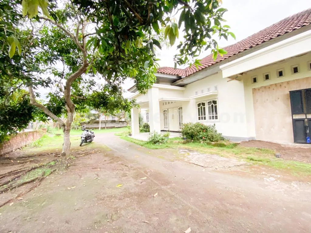 Spacious Home with Large Yard in Praya - 83 - 10