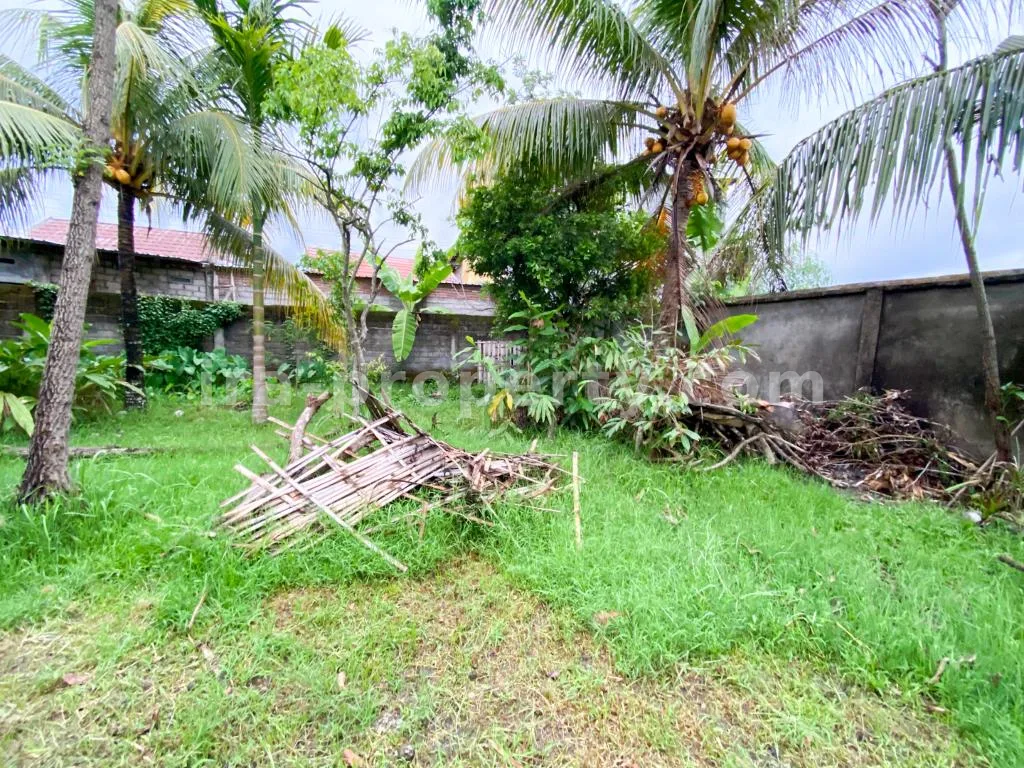 Spacious Home with Large Yard in Praya - 83 - 11