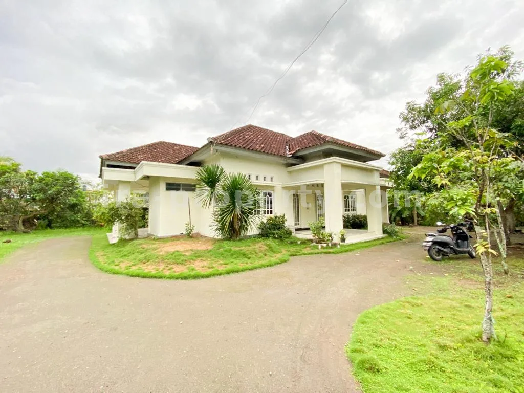 Spacious Home with Large Yard in Praya - 83 - 15