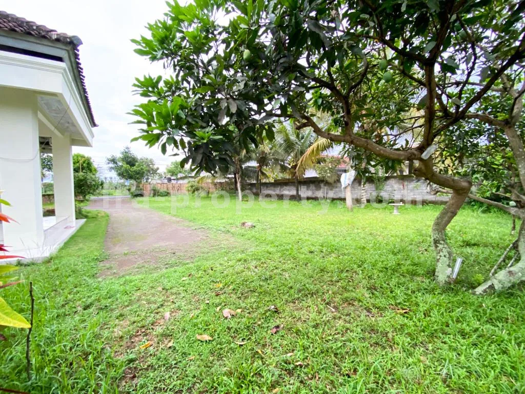 House · Central Lombok Area · photo 3 of 15 Spacious Home with Large Yard in Praya - 83 - 3