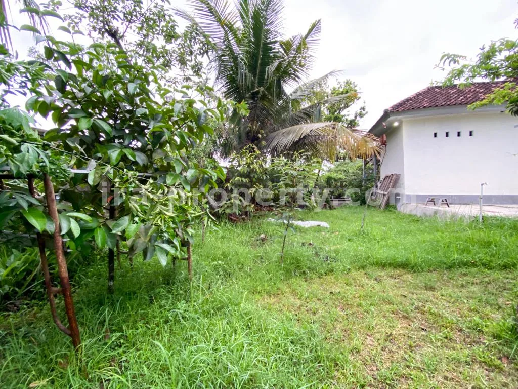 House · Central Lombok Area · photo 4 of 15 Spacious Home with Large Yard in Praya - 83 - 4