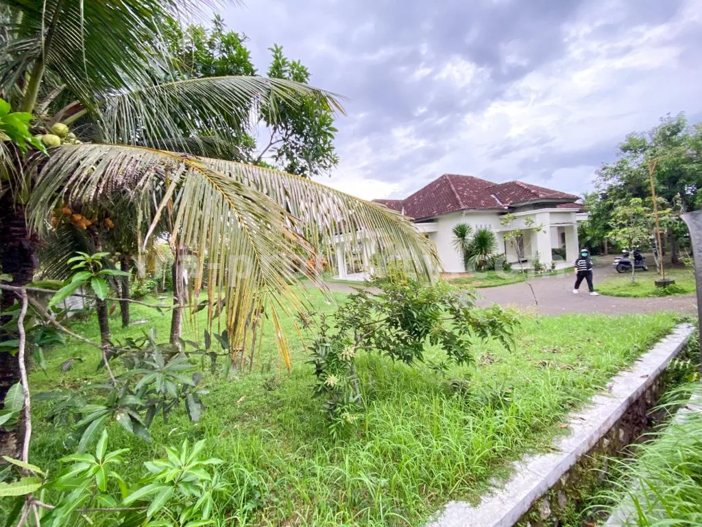 House · Central Lombok Area · photo 5 of 15 Spacious Home with Large Yard in Praya - 83 - 5