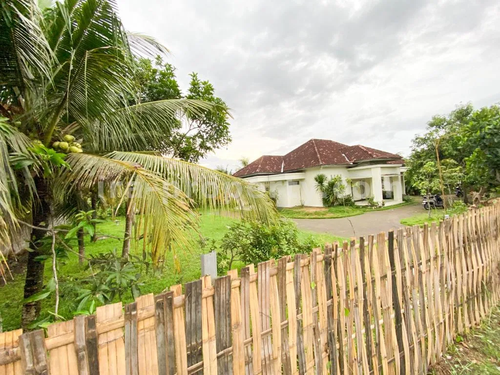 Spacious Home with Large Yard in Praya - 83 - 6