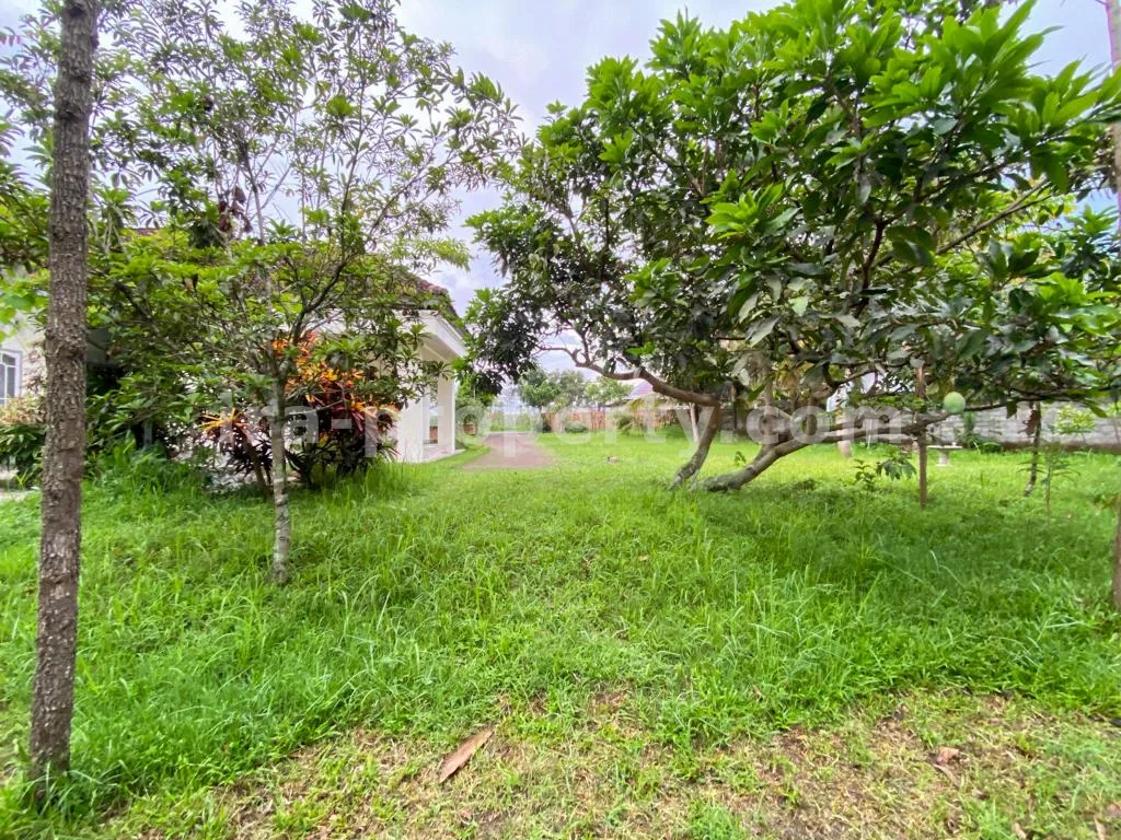 Spacious Home with Large Yard in Praya - 83 - 8