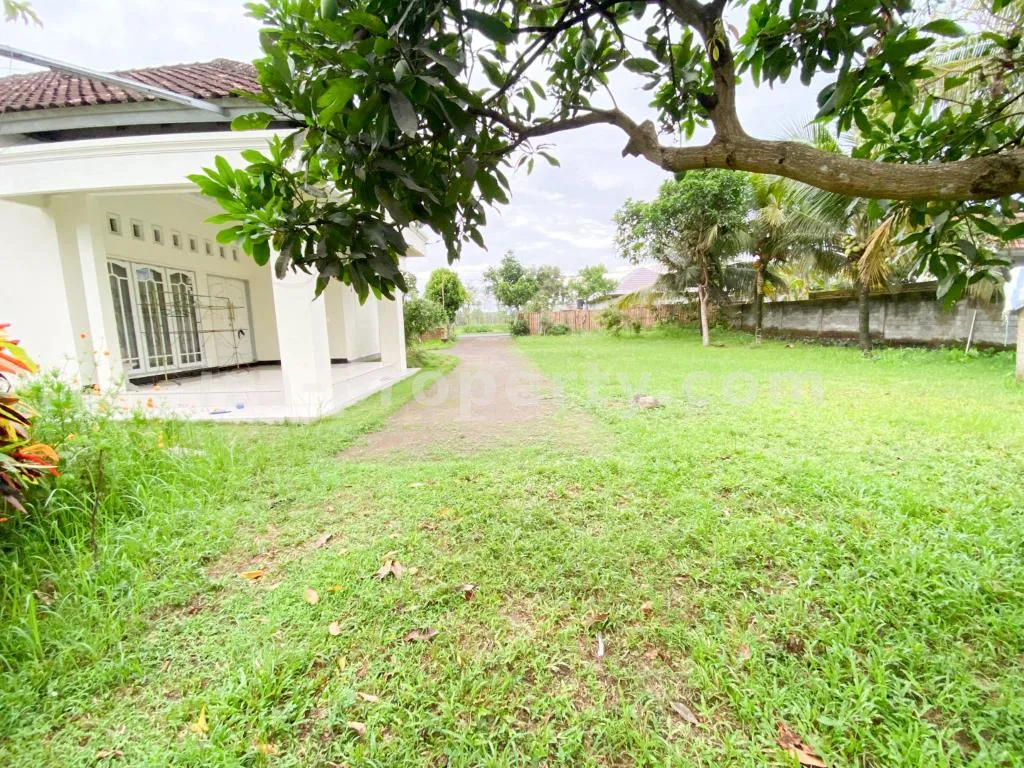 Spacious Home with Large Yard in Praya - 83 - 9