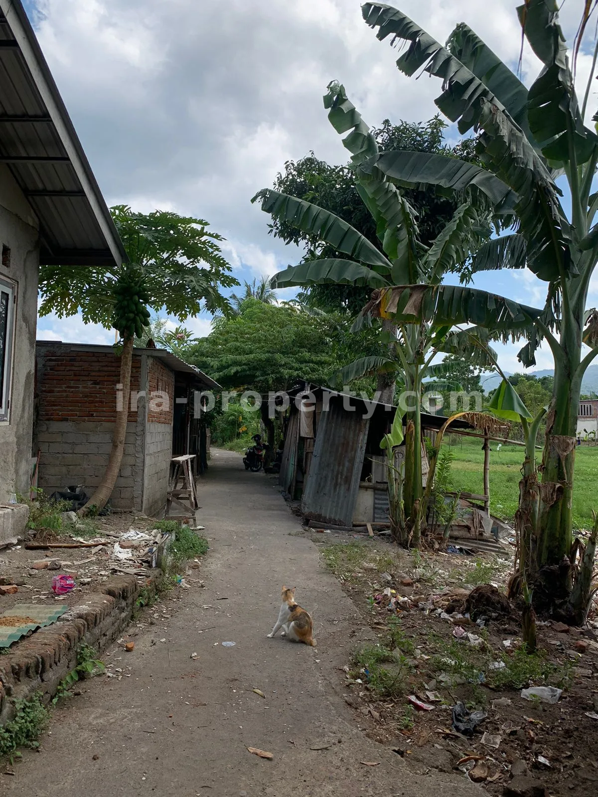 Tanah · Senggigi · foto 5 dari 12 Tanah Strategis di Montong Dekat Eks Sekolah Nusa Alam - 362 - 5