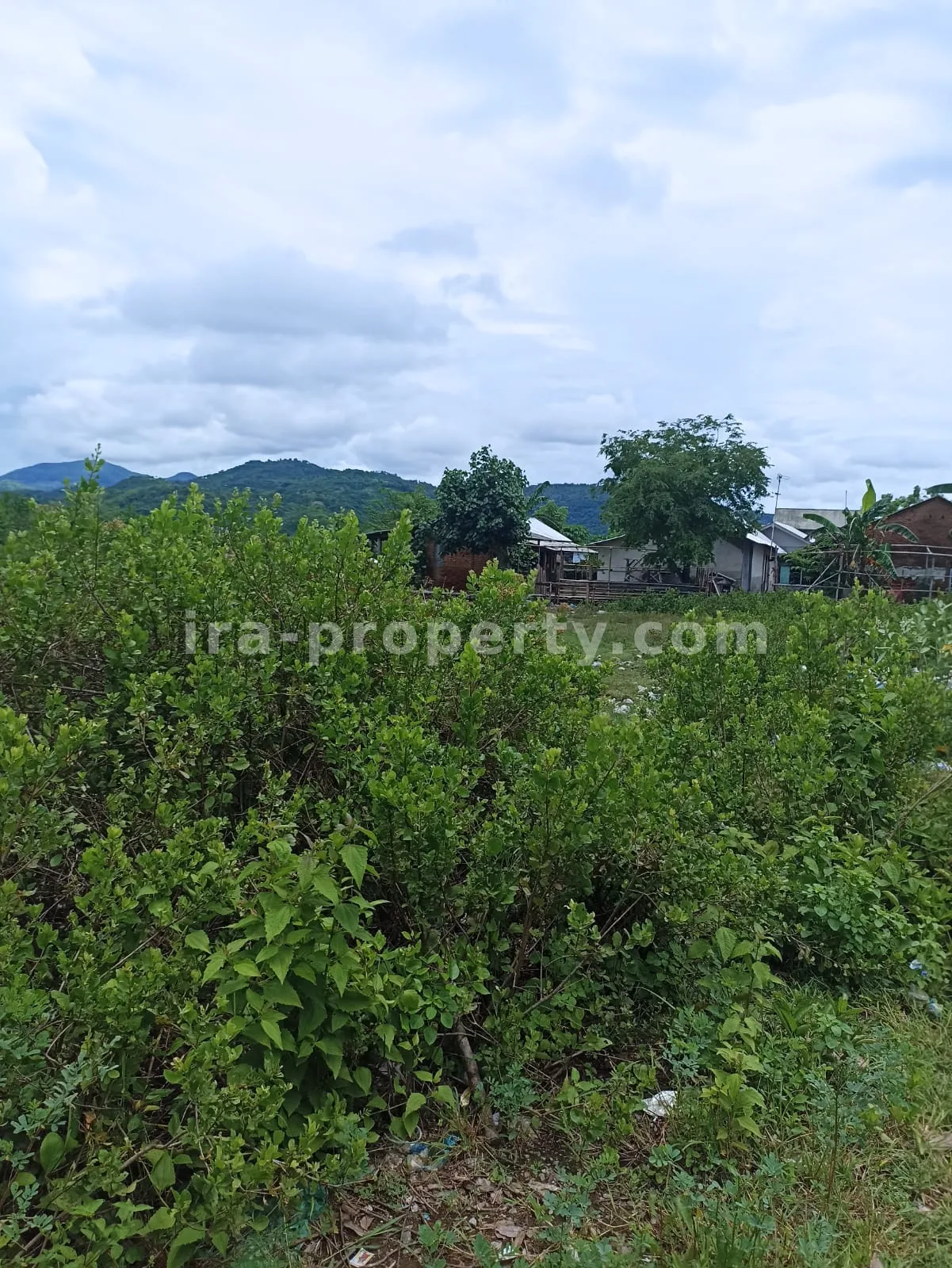 Tanah · Sekotong · foto 2 dari 10 Tanah Strategis Pinggir Jalan di Sekotong \u2013 3.390 m\u00b2 - 175 - 2