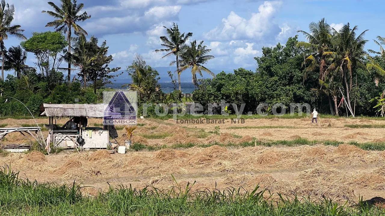 Land · Bali Island · photo 4 of 5 Beachfront Land for Sale in Ketewel, Bali - 73 - 4