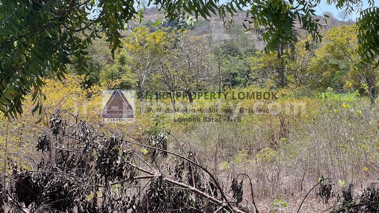 Land · Kuta Mandalika · photo 4 of 6 Beachfront Land in Bumbang, near Kuta Mandalika - 473 - 4