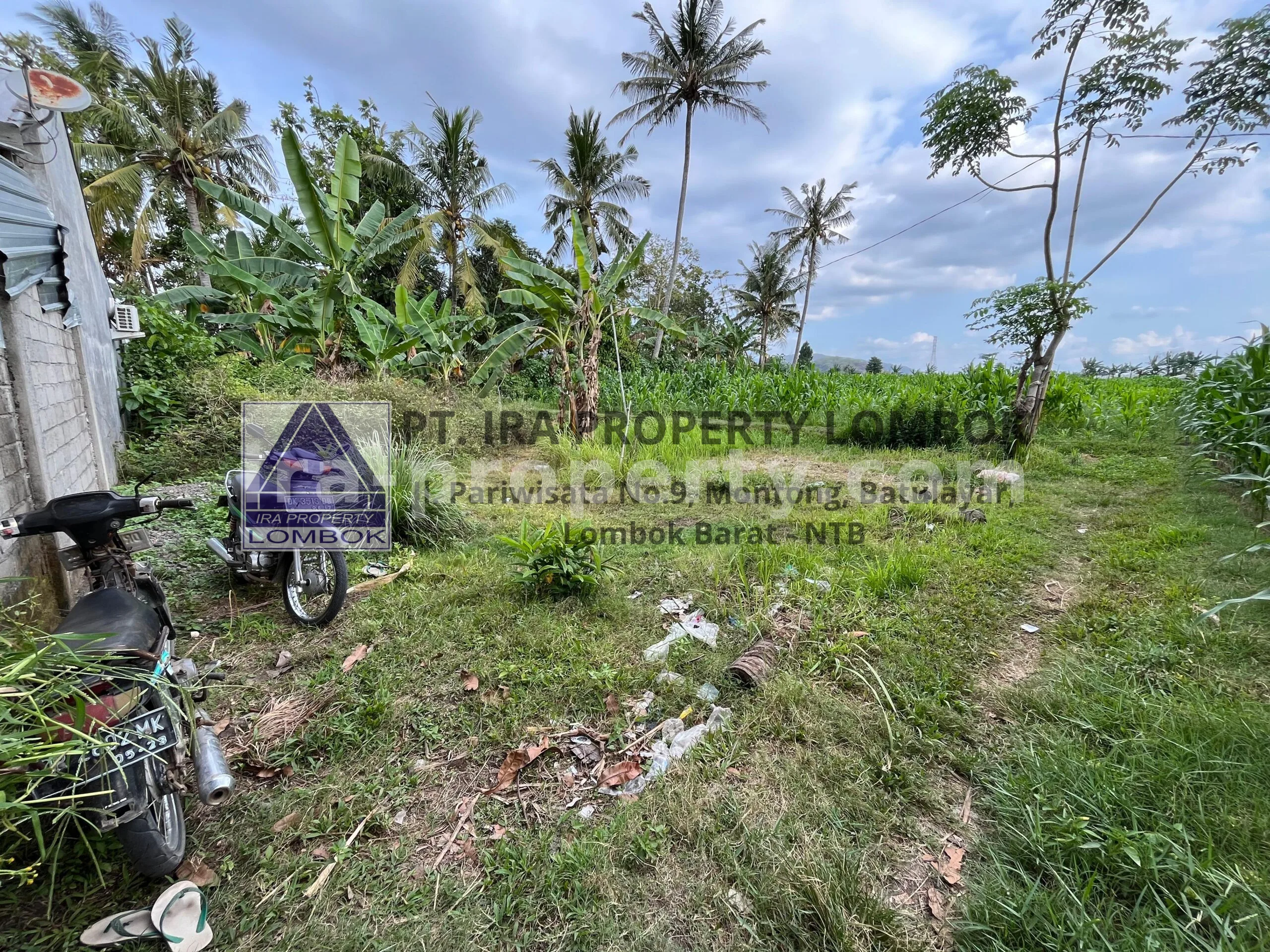 Tanah · Kota Mataram · foto 1 dari 6 Tanah Dijual di Mapak Kuranji dekat Mataram - 467 - 1