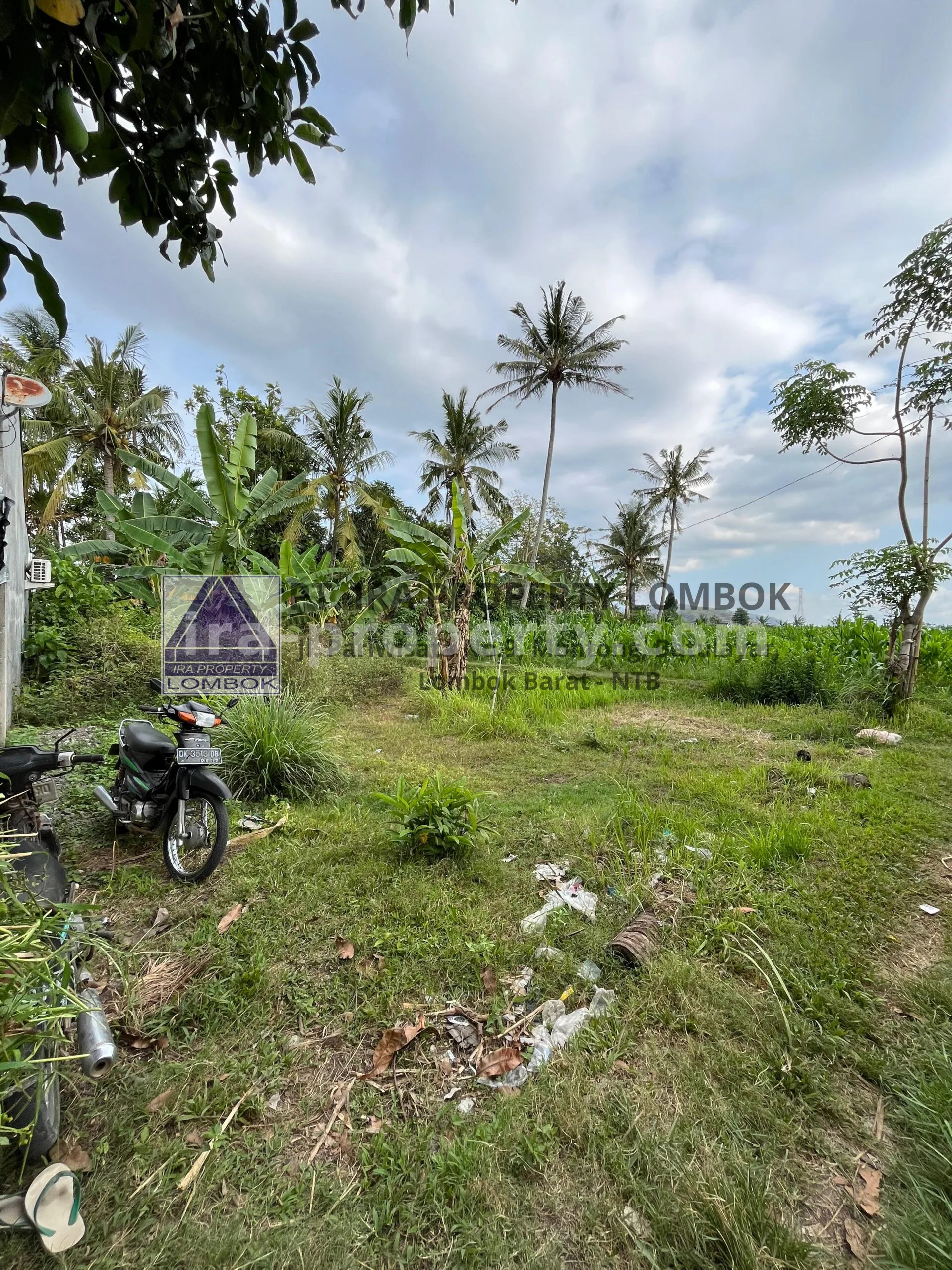 Tanah · Kota Mataram · foto 2 dari 6 Tanah Dijual di Mapak Kuranji dekat Mataram - 467 - 2