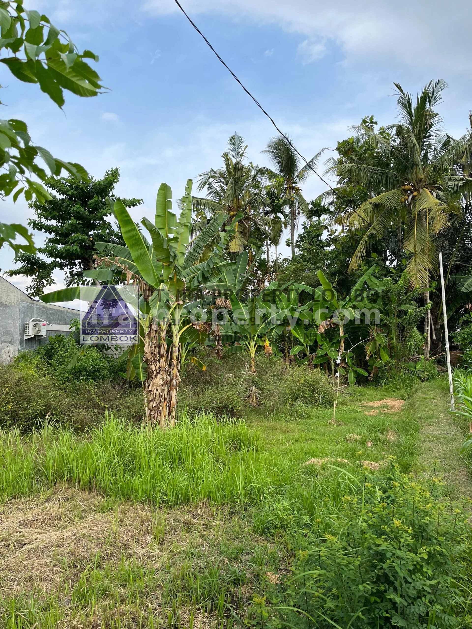 Tanah · Kota Mataram · foto 3 dari 6 Tanah Dijual di Mapak Kuranji dekat Mataram - 467 - 3