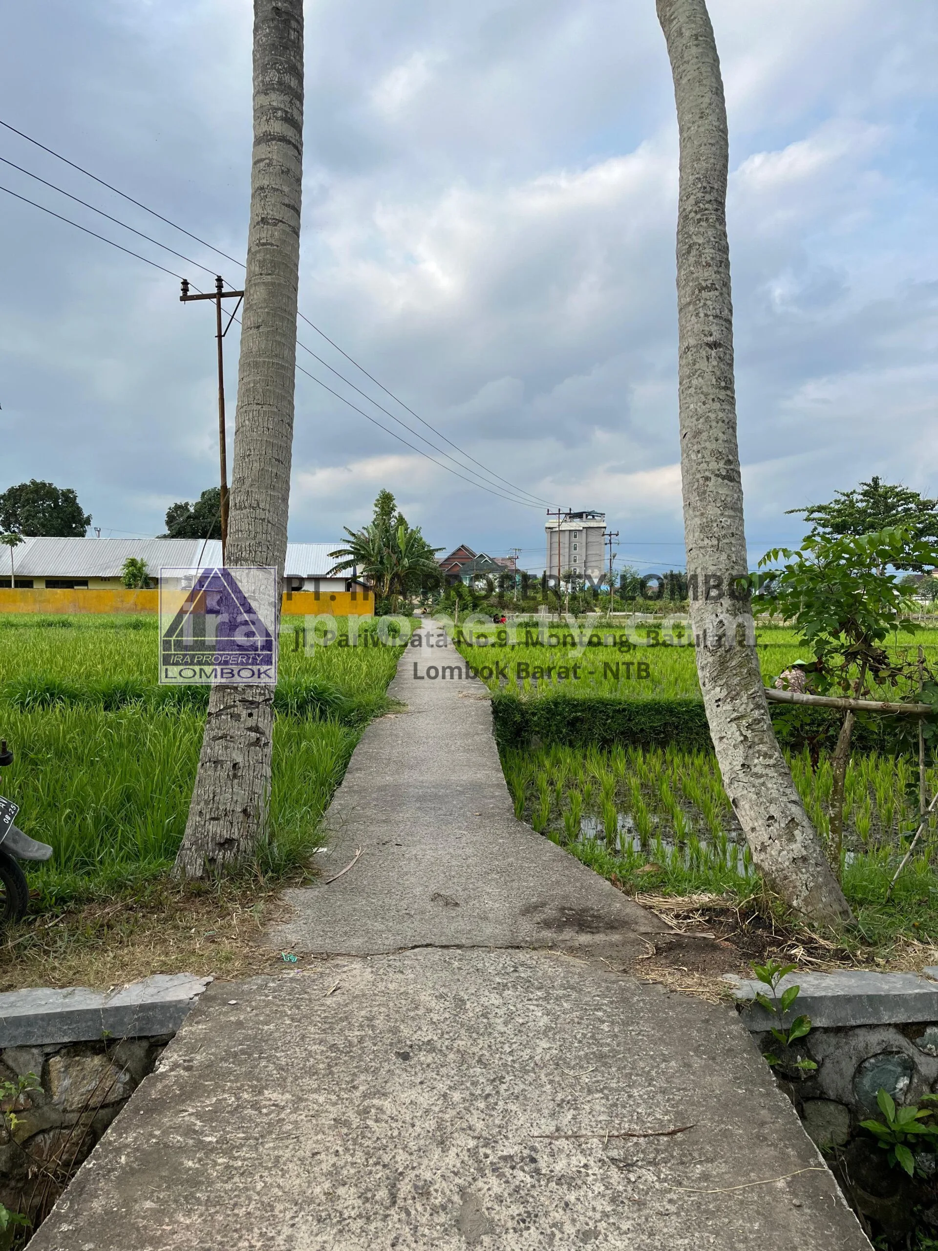 Tanah · Kota Mataram · foto 4 dari 6 Tanah Dijual di Mapak Kuranji dekat Mataram - 467 - 4