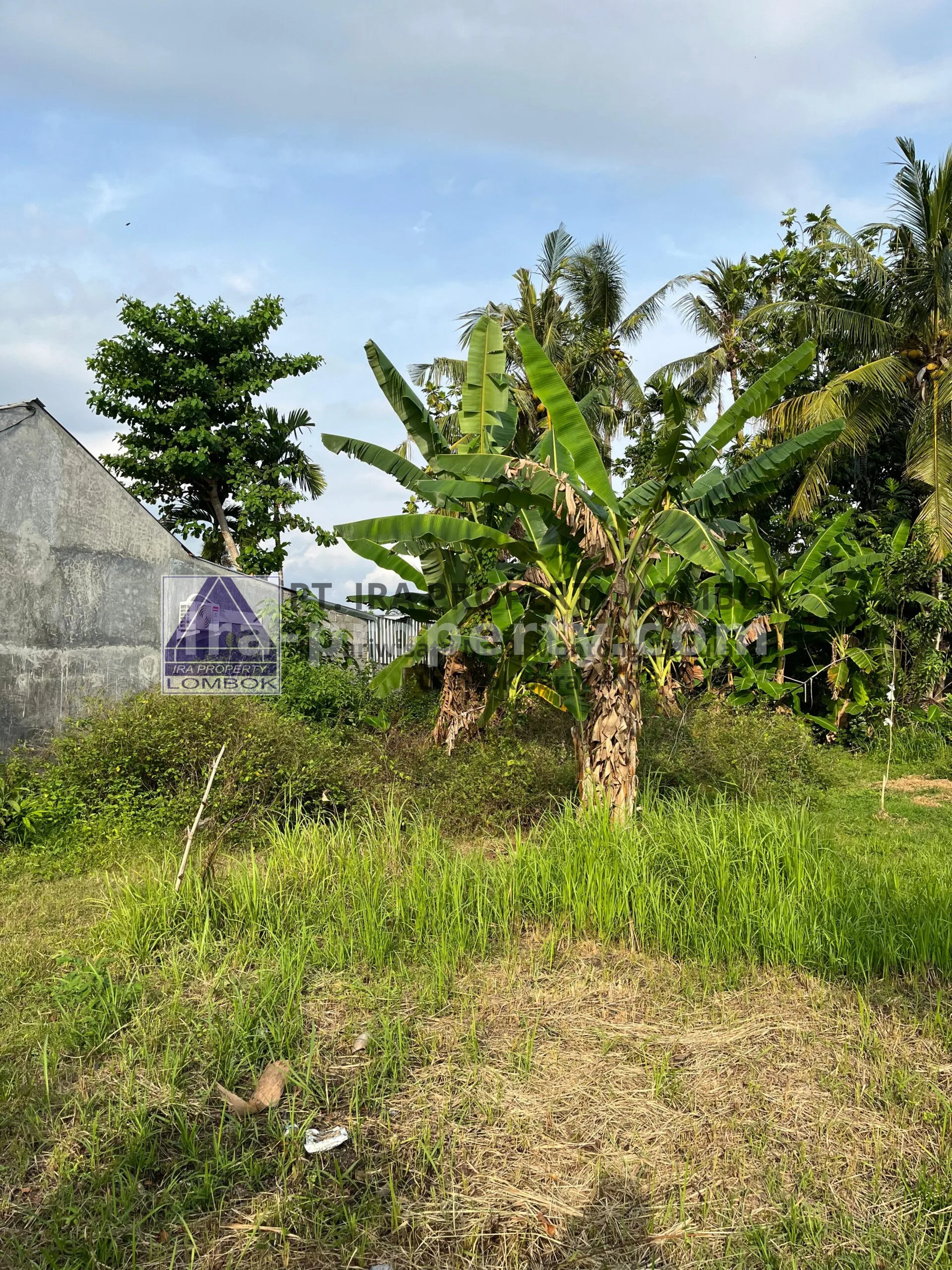 Tanah · Kota Mataram · foto 5 dari 6 Tanah Dijual di Mapak Kuranji dekat Mataram - 467 - 5