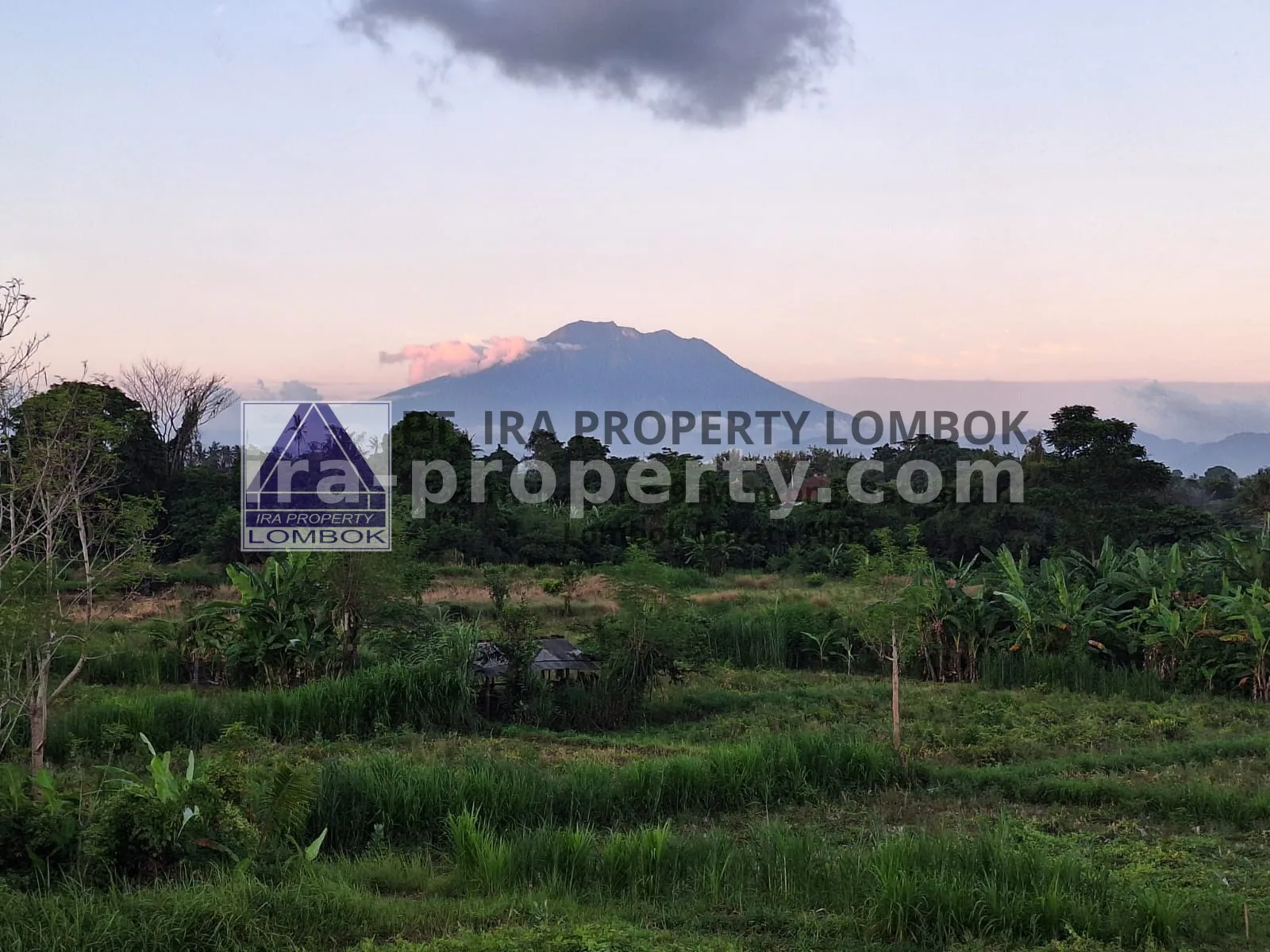 Land · Bali Island · photo 1 of 7 Mountain and Ocean View Land for Sale in Keramas, Bali - 77 - 1